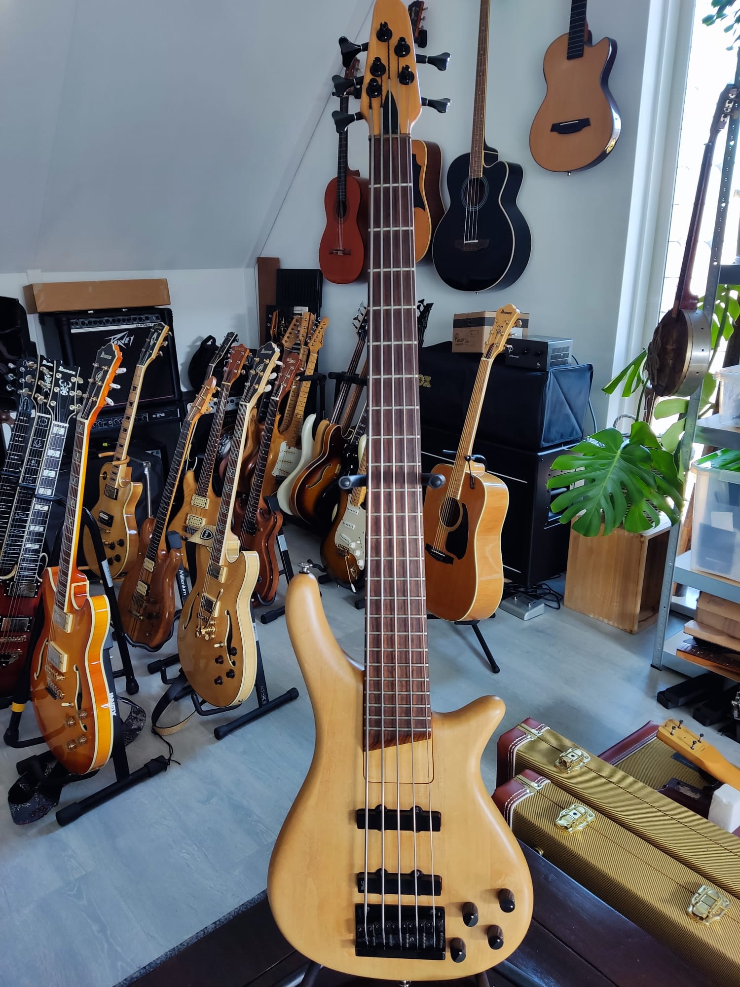 SGC Nanyo Bass Collection SB505 – 1990s Japan 5-String Bass
